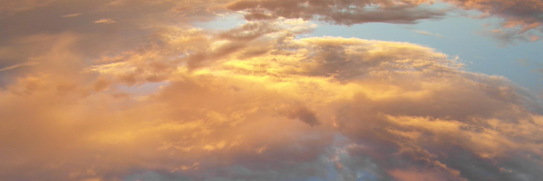 VaidaSimkute's profile banner image