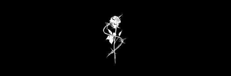 ___hachibaby's profile banner image