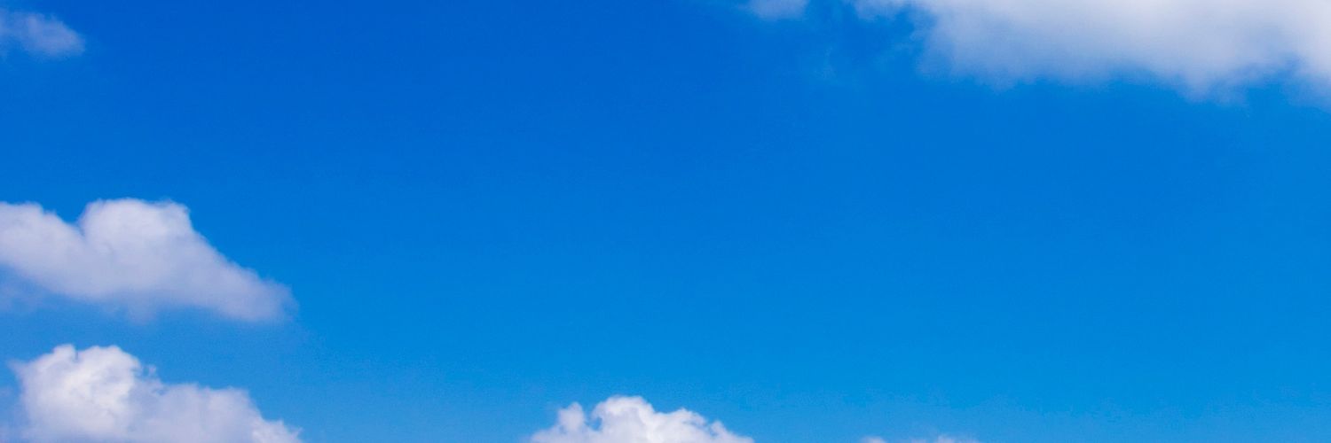 まるず banner