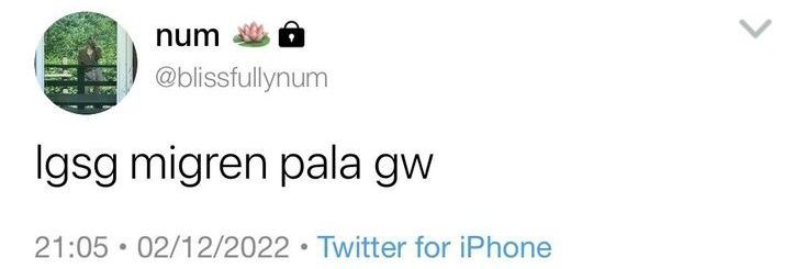 chake🍰🌷 banner