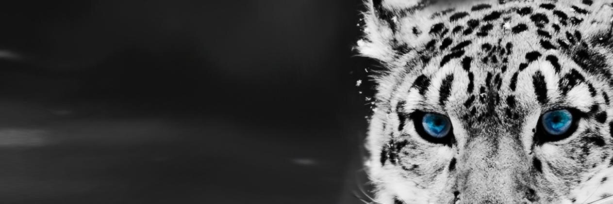 manitejaalapati's profile banner image