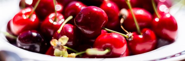 note1581 Profile Banner