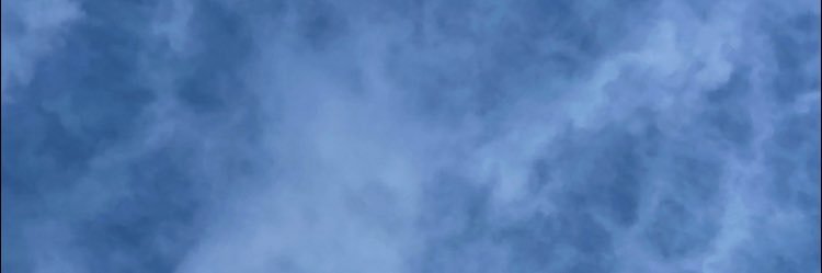 manakoyu's profile banner image