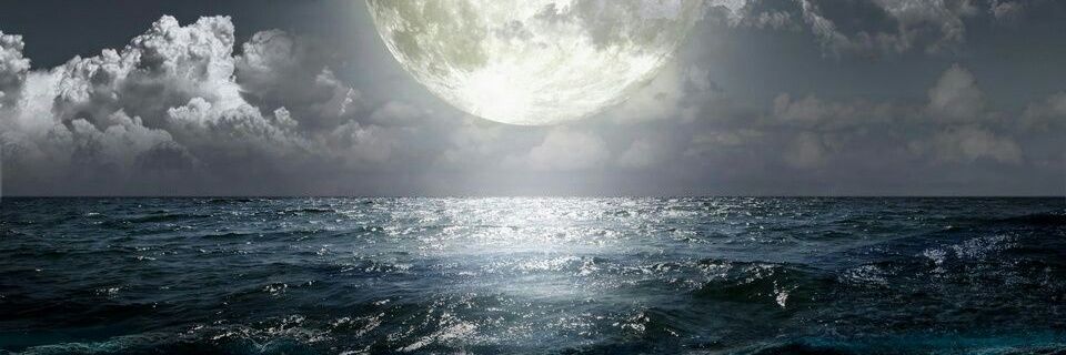 m37269695's profile banner image