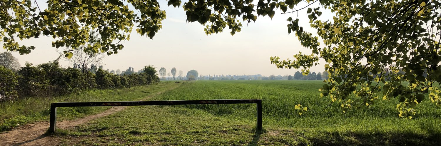 thomaschiappa's profile banner image