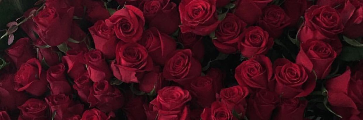 _brunaalmd's profile banner image