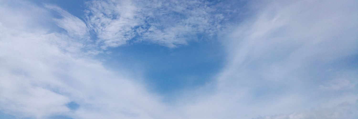 wsn316's profile banner image