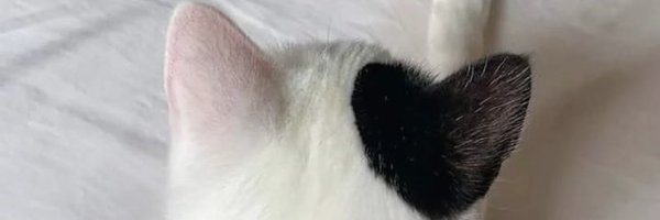 itisnass Profile Banner