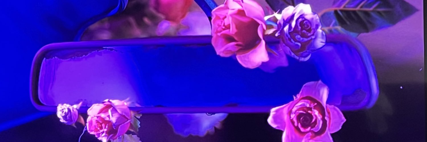 LadyMerudiana's profile banner image