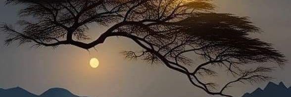 BaghaghoBode's profile banner image