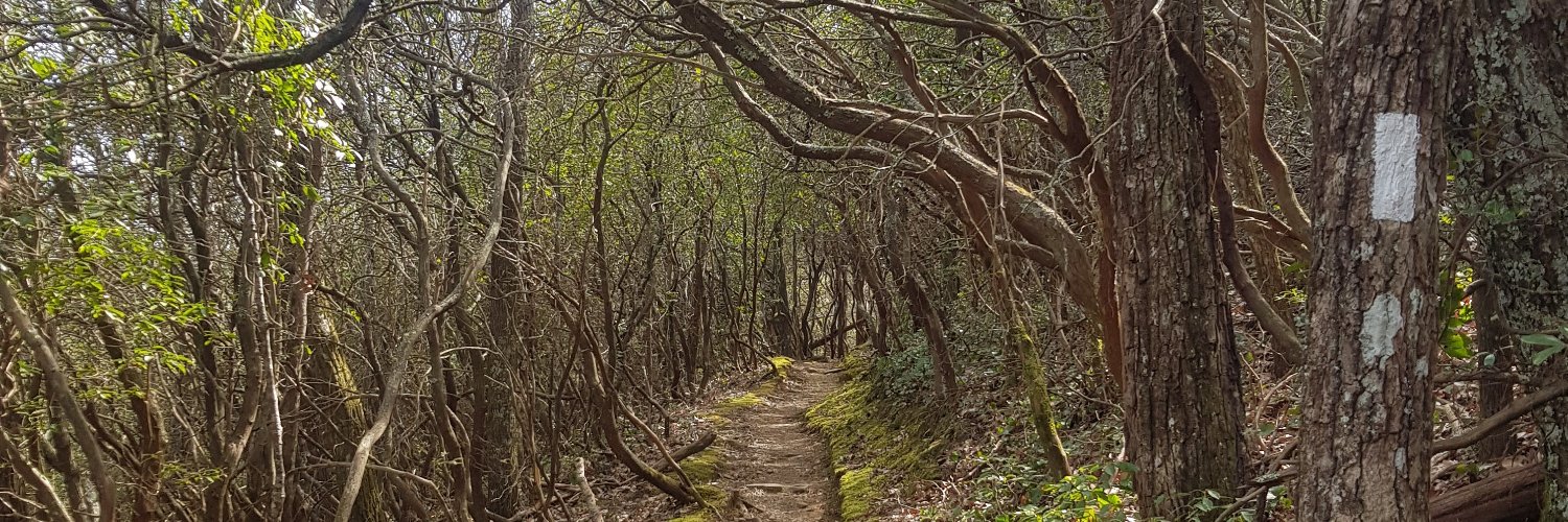 Camilla Krag Jensen banner