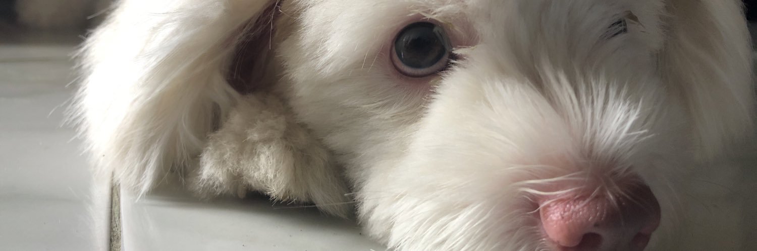 yourendingfairy's profile banner image