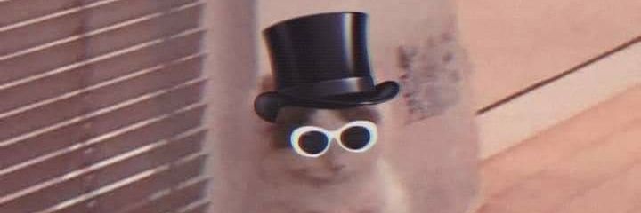 Doctora_Sh's profile banner image
