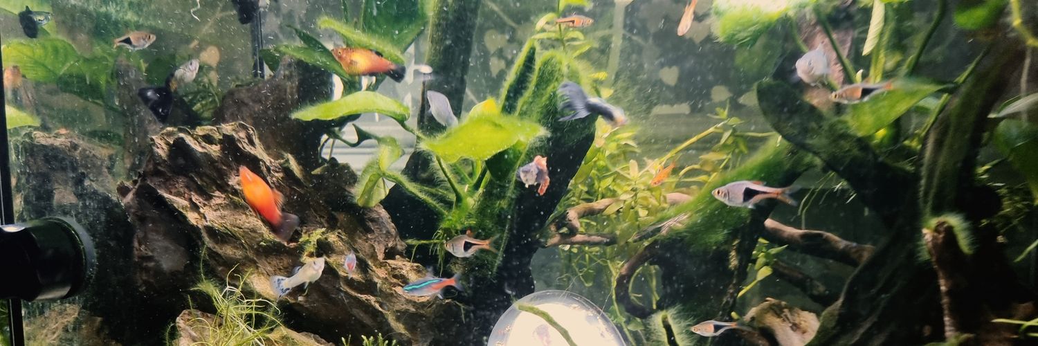 were_goingto_need_abiggerboat banner