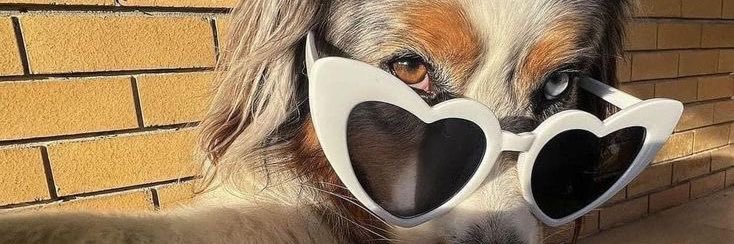 MilyRama's profile banner image