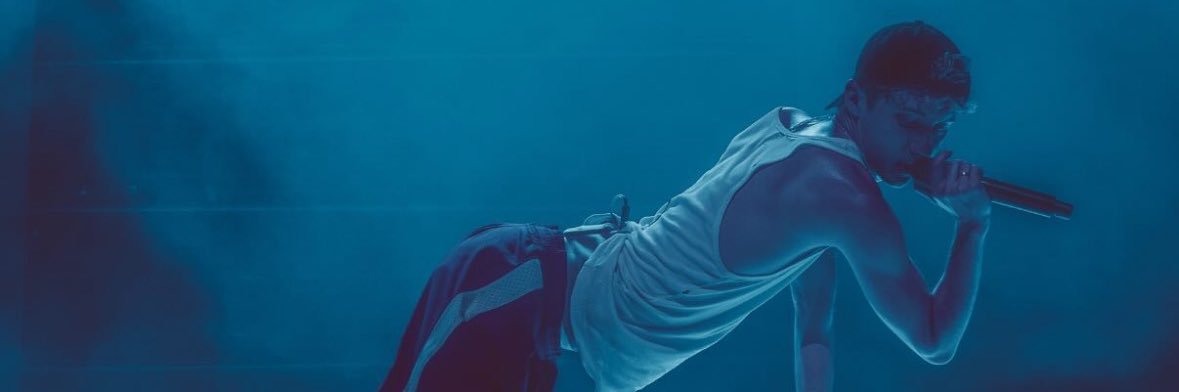 Harrytroye banner