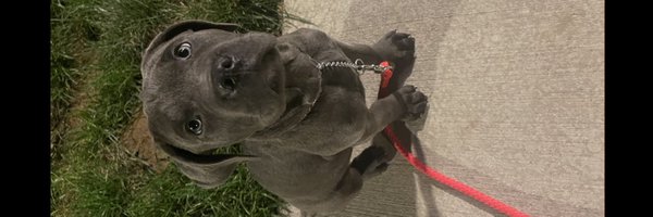 BruMcCoy15 Profile Banner