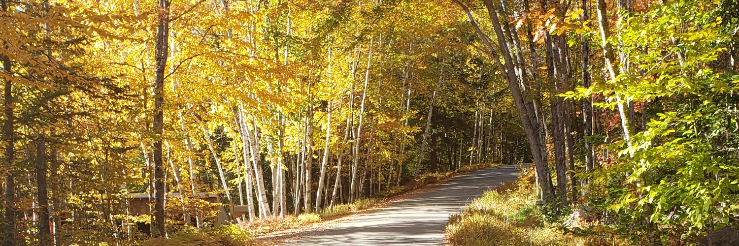 Ahmad Mohammadpour banner