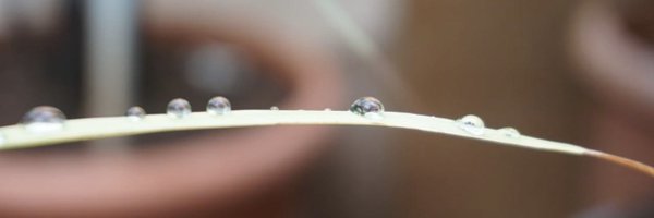 vinaynathan Profile Banner