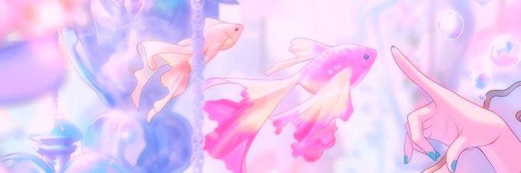ragmatic☆'s banner