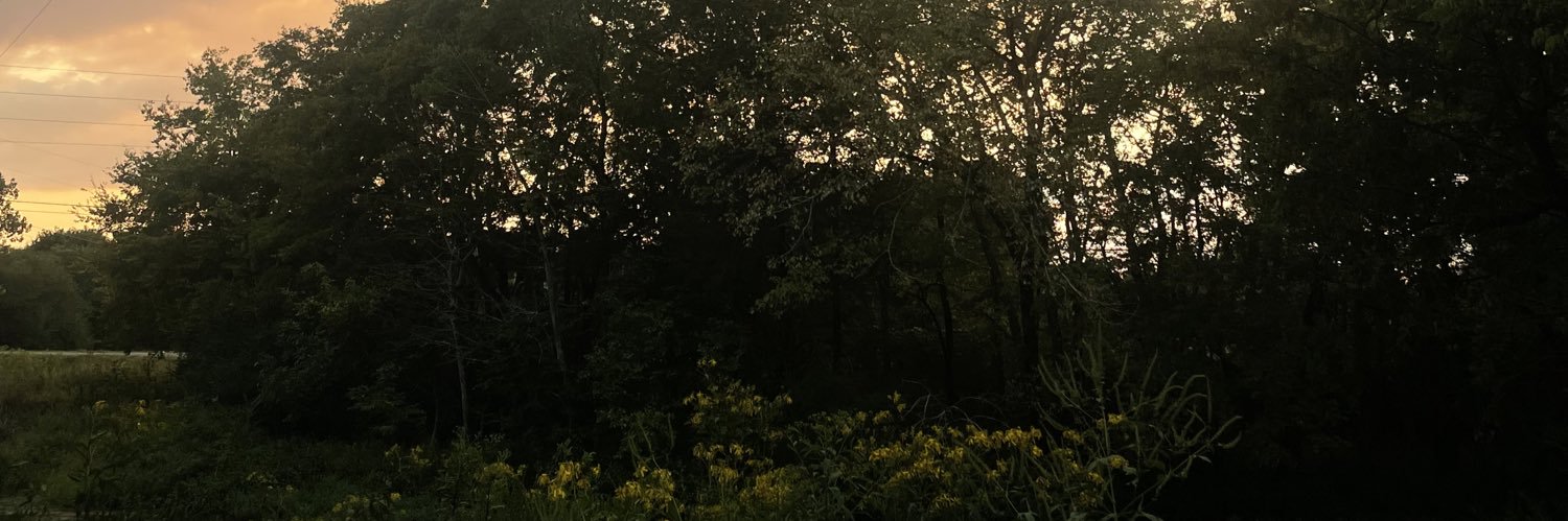 leemfao's profile banner image