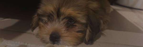 R0VIEL Profile Banner