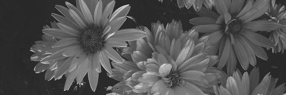loves2_xio's profile banner image