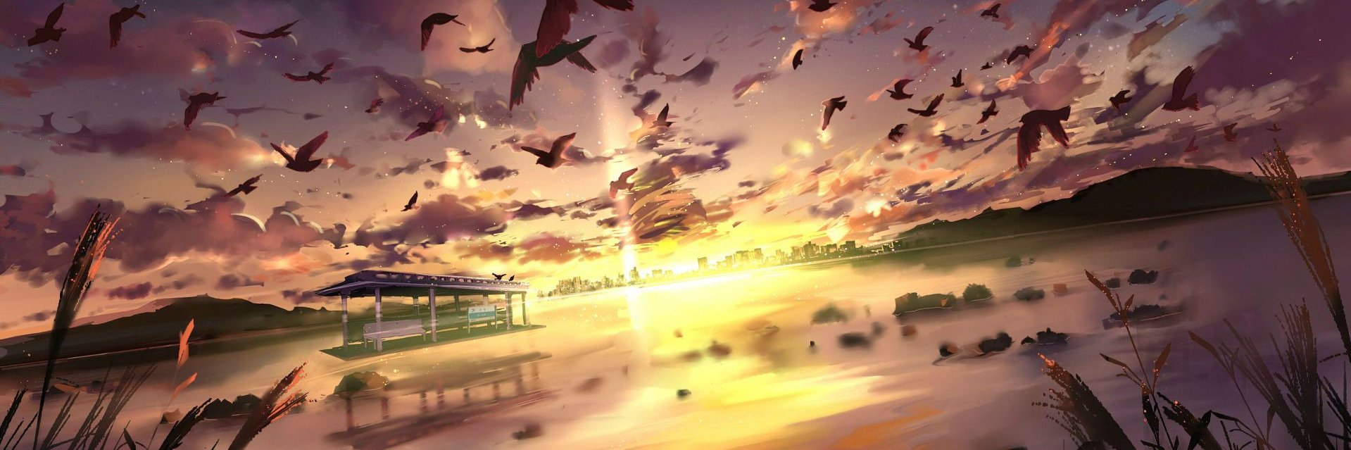 SebastianJanusz's profile banner image