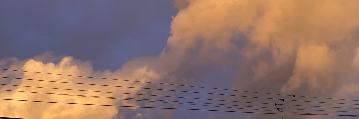 AzulDinapoli's profile banner image