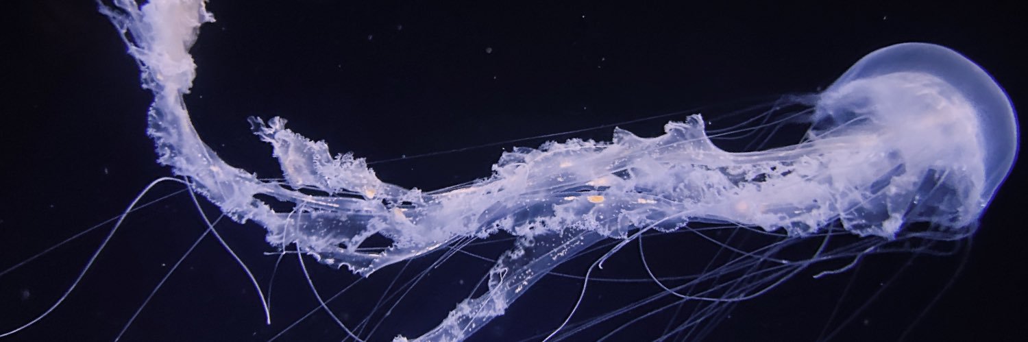 eziggs's profile banner image