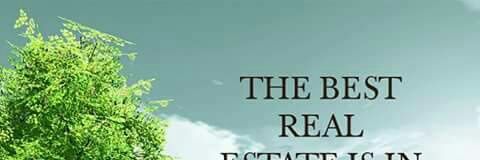 waidfinnc's profile banner image