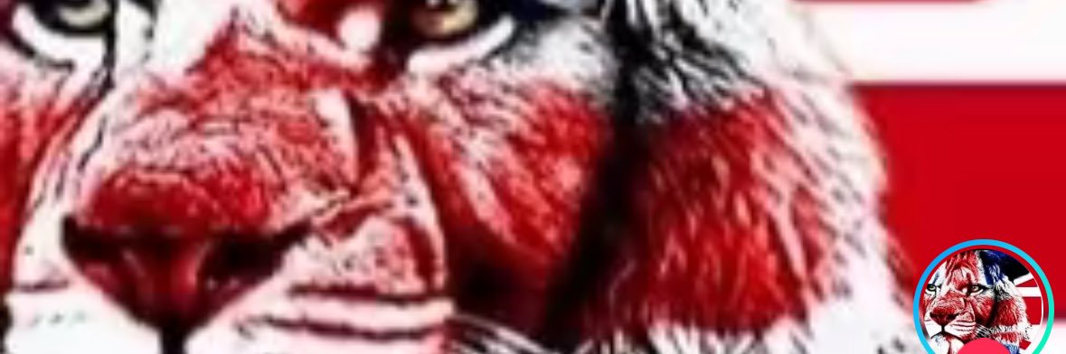 leedon77's profile banner image