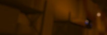Lana Lizard banner