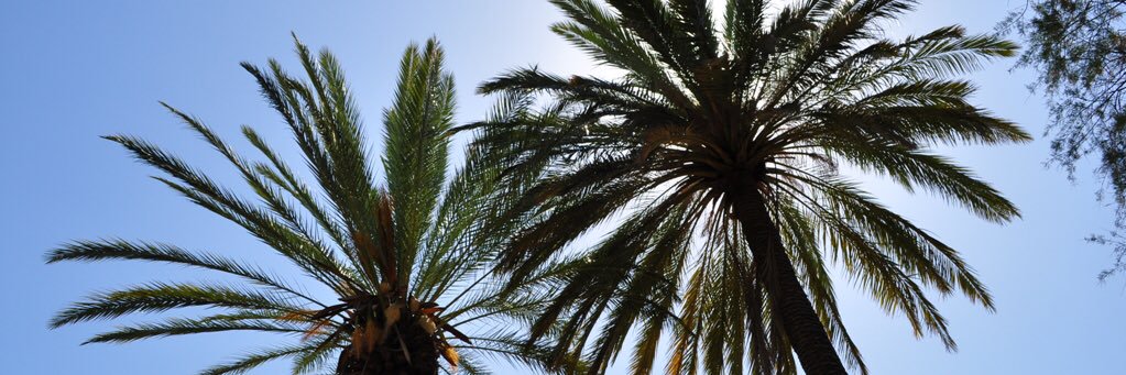 estebancorrea's profile banner image