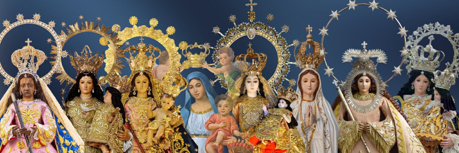 delfindakila's profile banner image