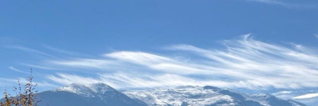 Lolita banner