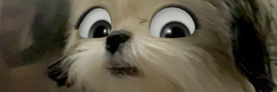 thebipolarleo's profile banner image