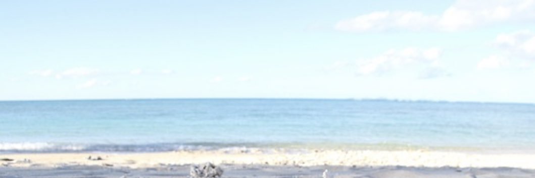 seri_h_h's profile banner image