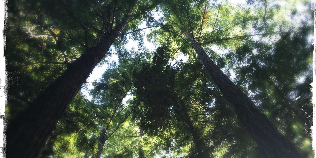 👽Red Army👽 banner