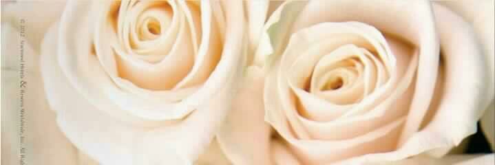 CaroSilo's profile banner image