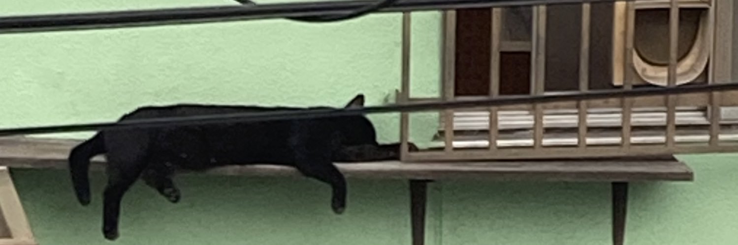 こーちゃん banner