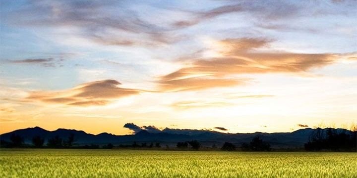lcgeter's profile banner image