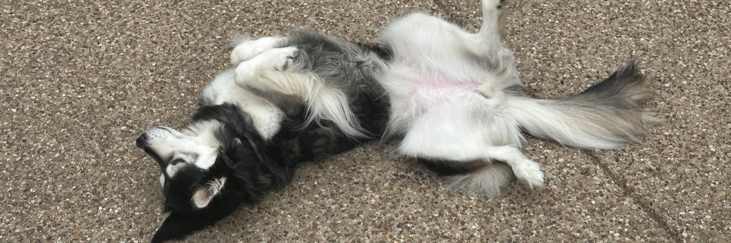 MadHat Unspecific, InfoSec Mercenary banner