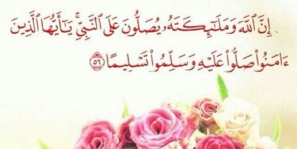 msa448moh's profile banner image