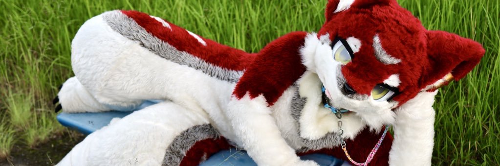 みしぇた／セウメ banner