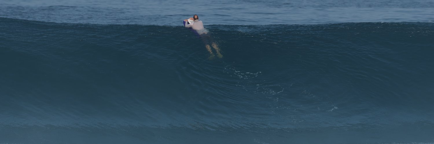 brazmcfly, WDFDYC? banner