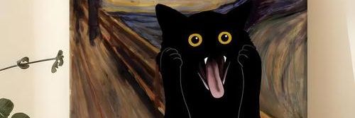 CatCatman banner