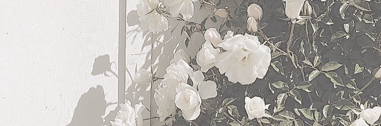 A713N's profile banner image