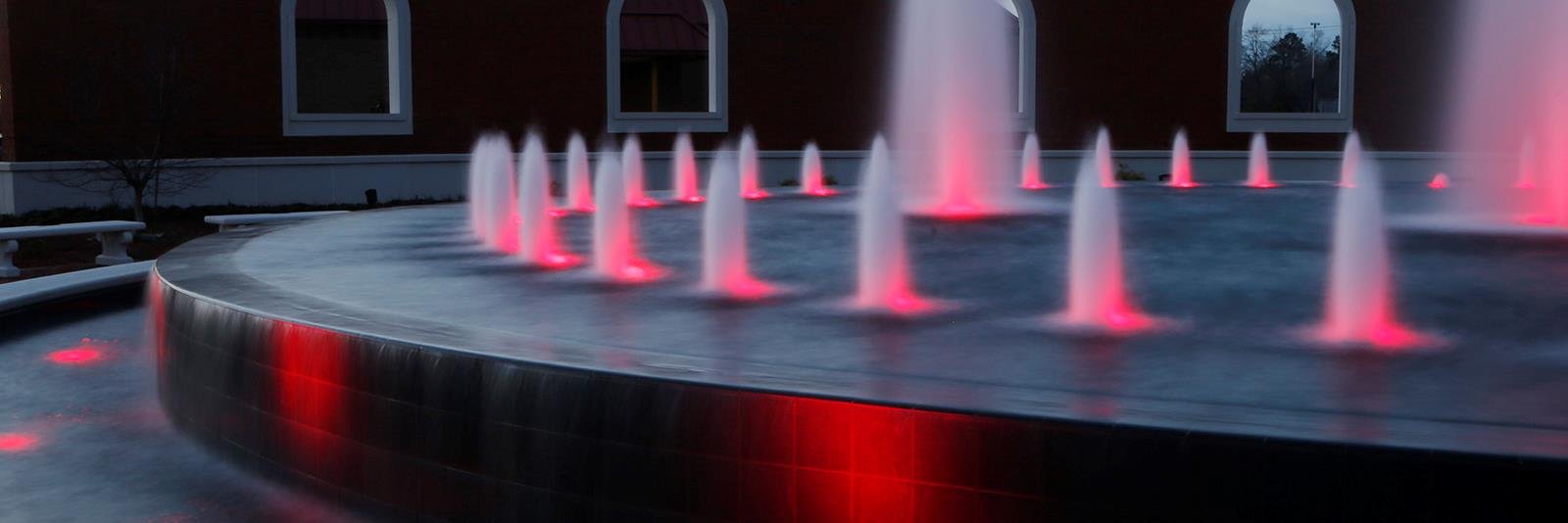 The Daily News banner