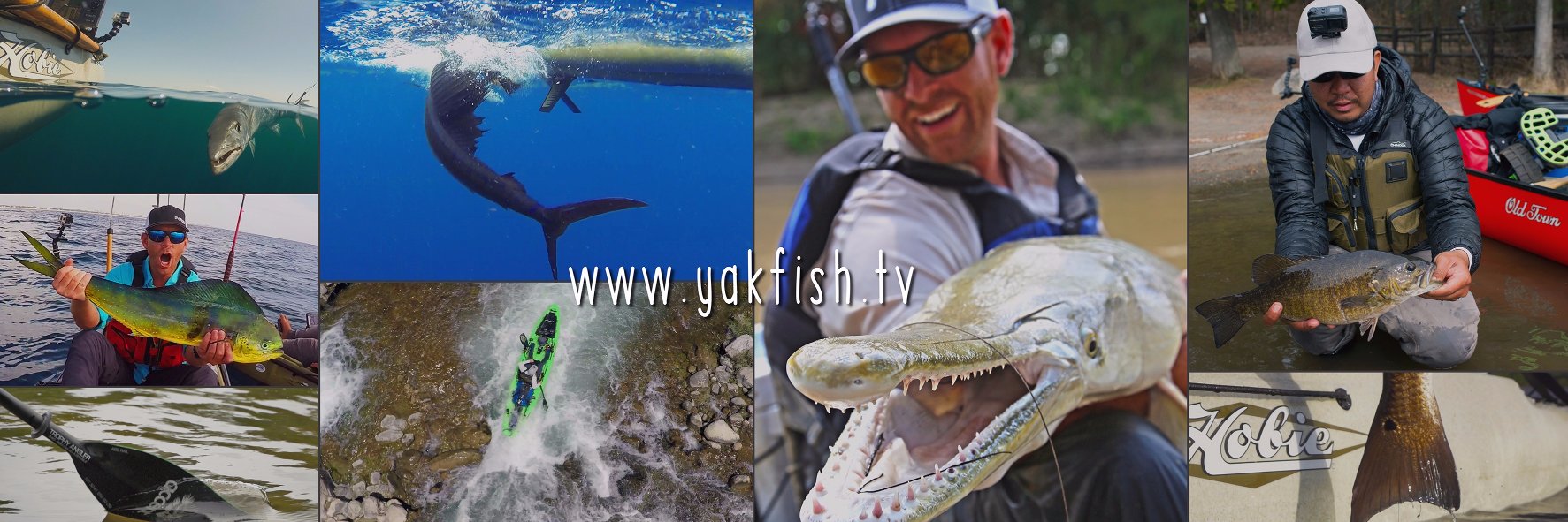 YakFish TV banner